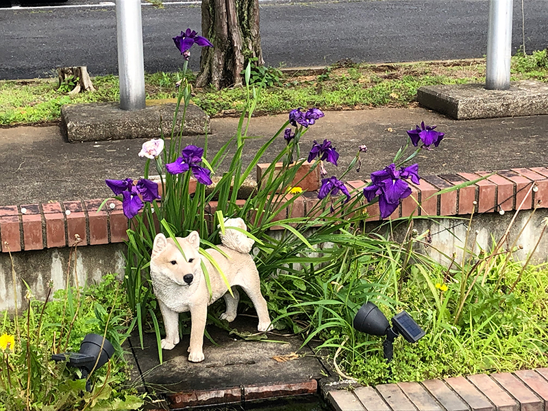 飼育部